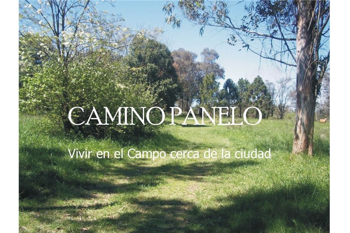 LOTEO CAMINO PANELO - VENTA DE TERRENO EN CAÑUELAS