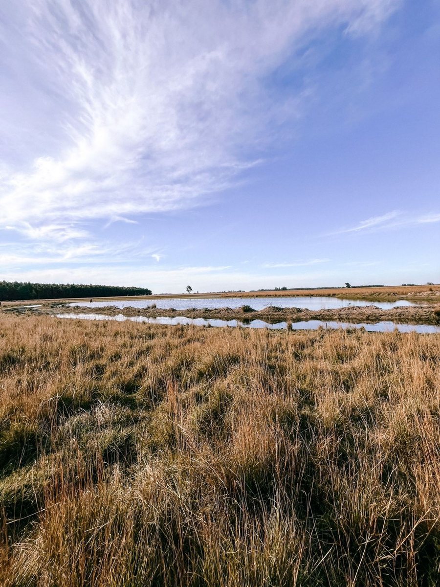 CAMPO EN VENTA CON CASA Y GALPON EN GOYA CTES