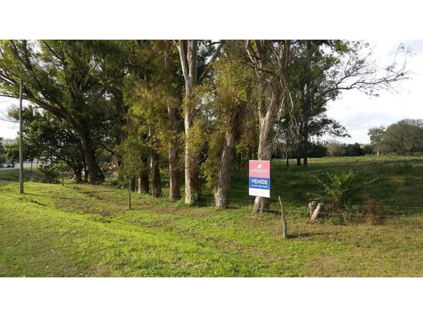 Zona Abadia, Lotes De 1.000 M2 Arbolados Sobre Ruta