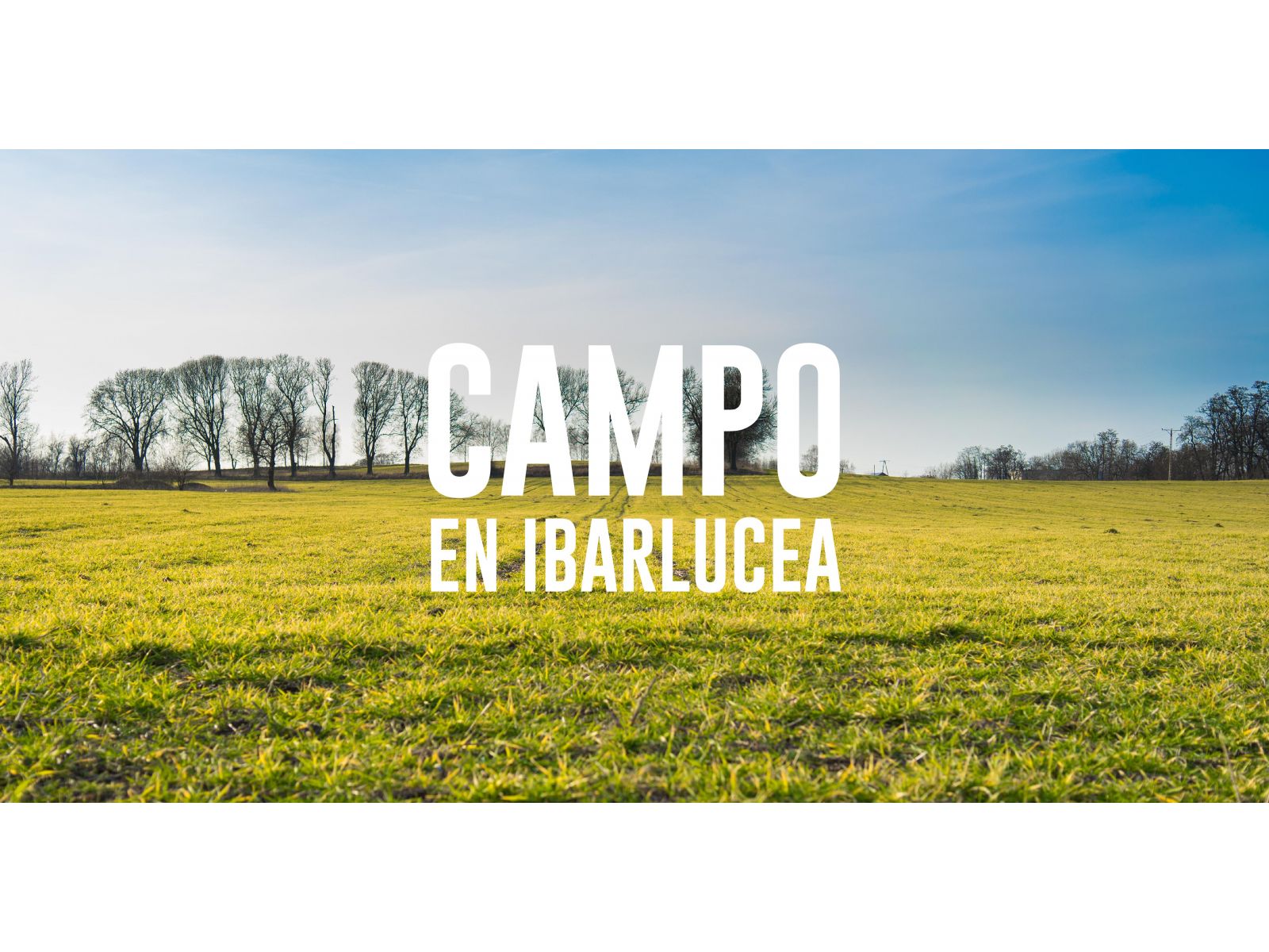 Campo 8,5HS en Ibarlucea