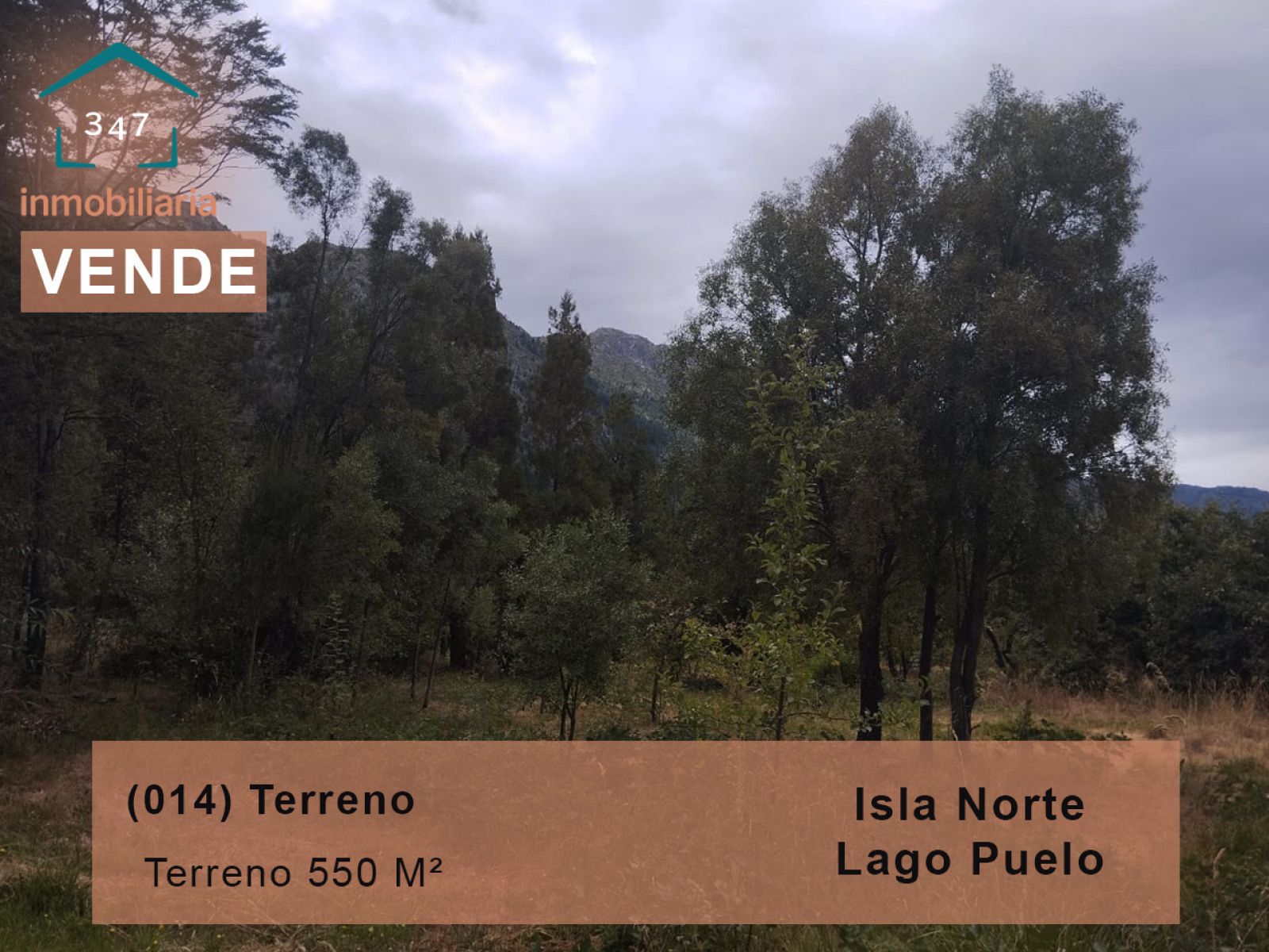 (014) Terrenos en VENTA en Isla Norte, Lago Puelo, Chubut