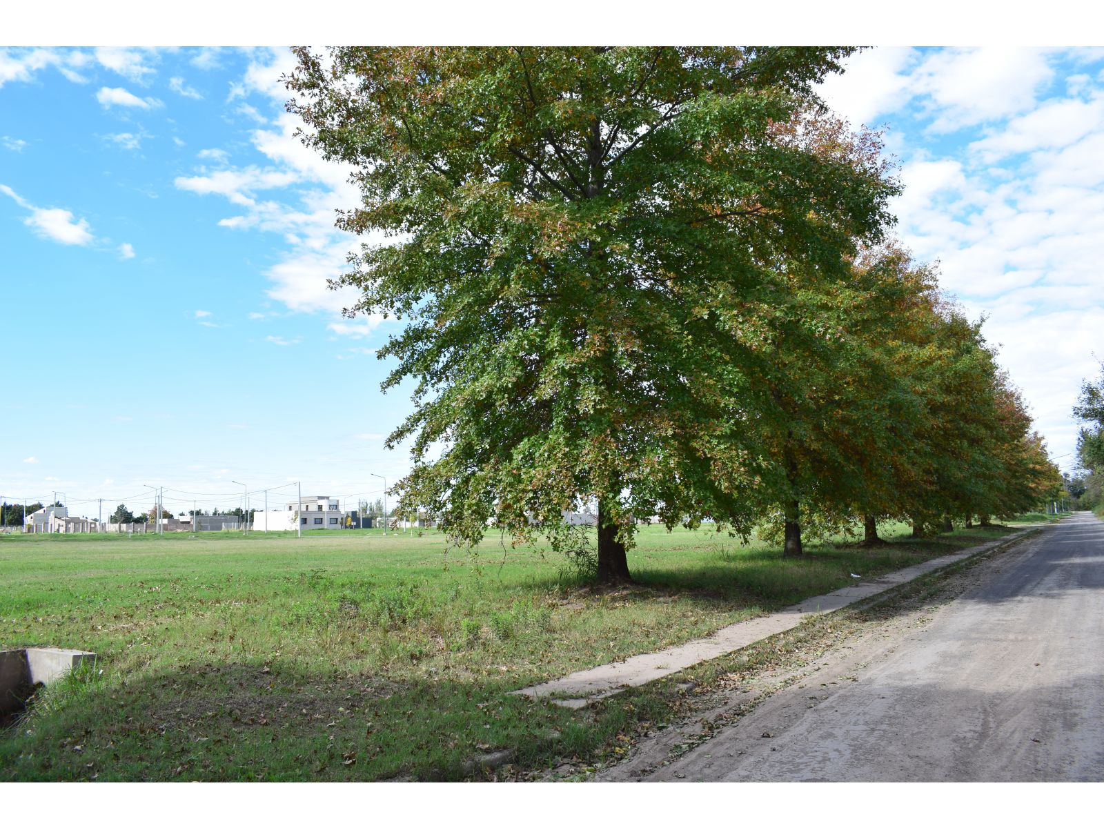 LOTE BARATO EN ARROYO SECO