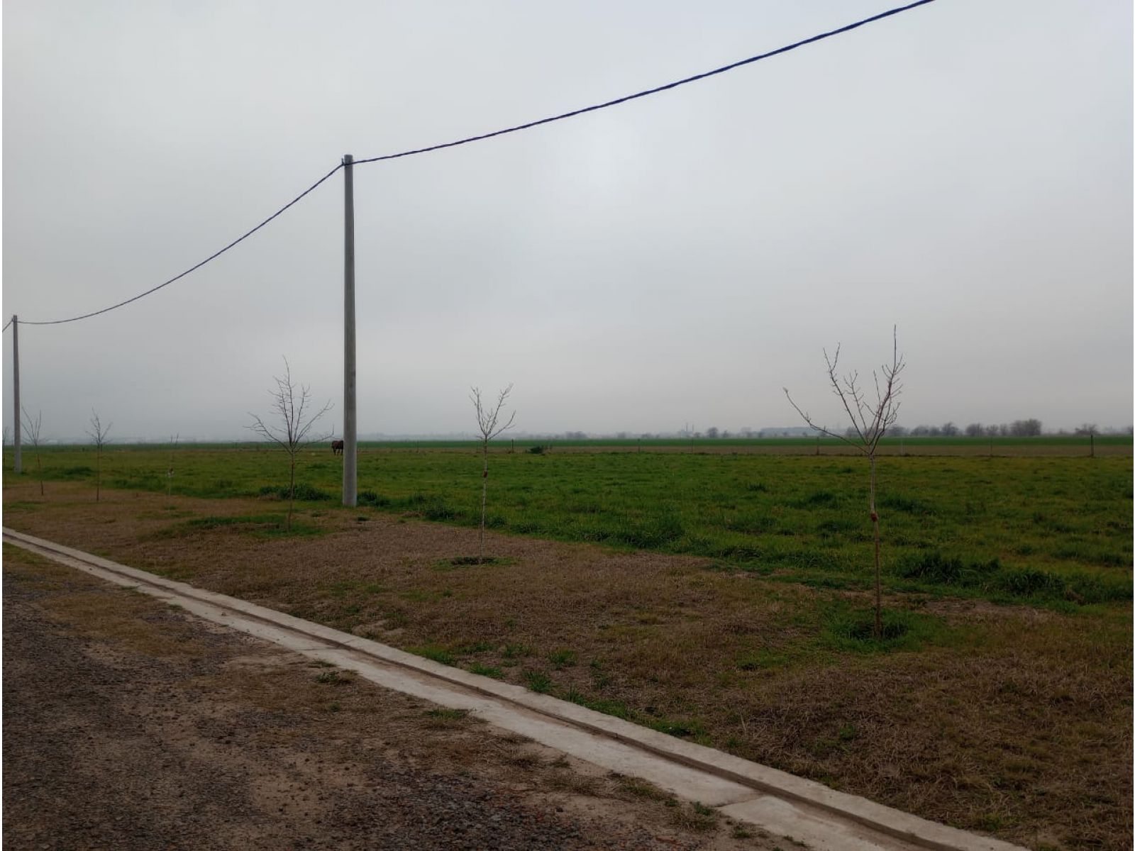 Lotes en barrio Pampa de Aldao