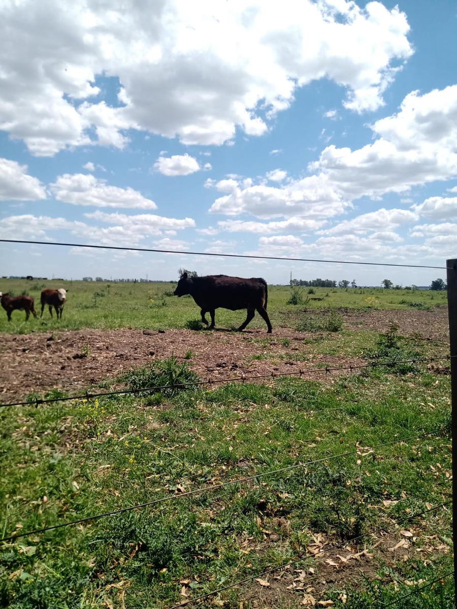 Venta de Lote en Termas de Basavilbaso, Entre Rios