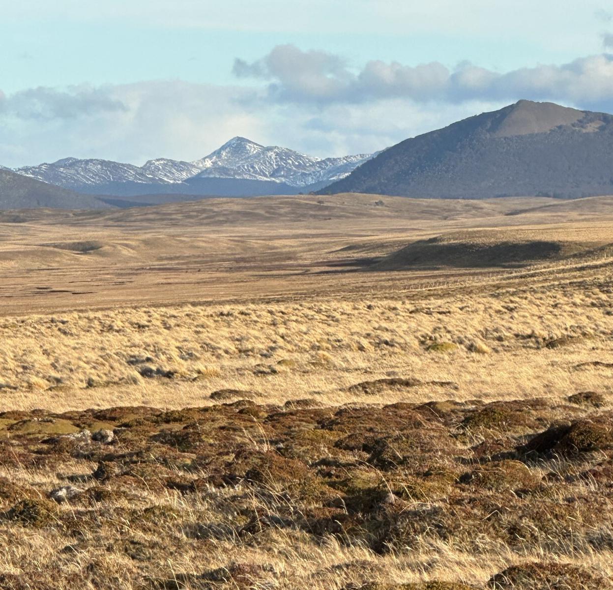 Campo en pre cordillera Fueguina, Dto de Tolhuin (10.000 ha)