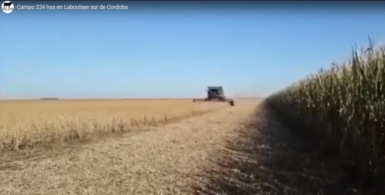 Campo en  Laboulaye