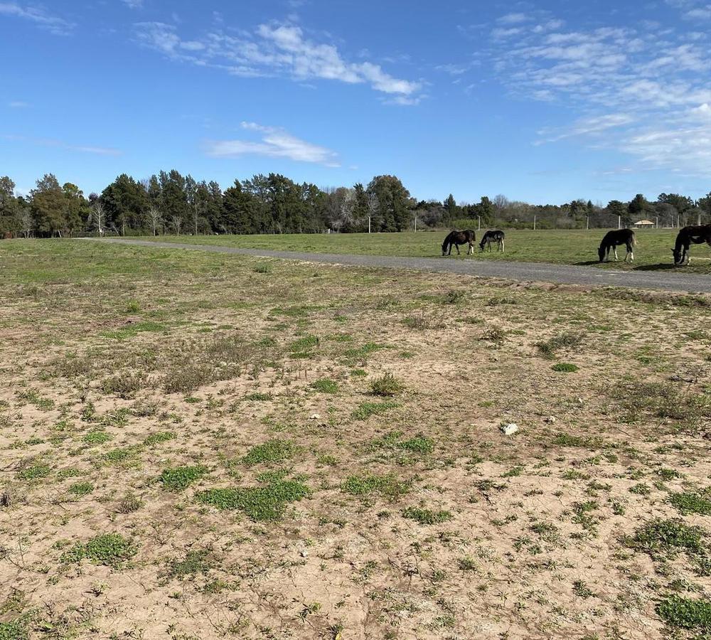 Venta.Terreno. Parada Robles, Exaltación de la Cruz, G.B.A. Zona Norte