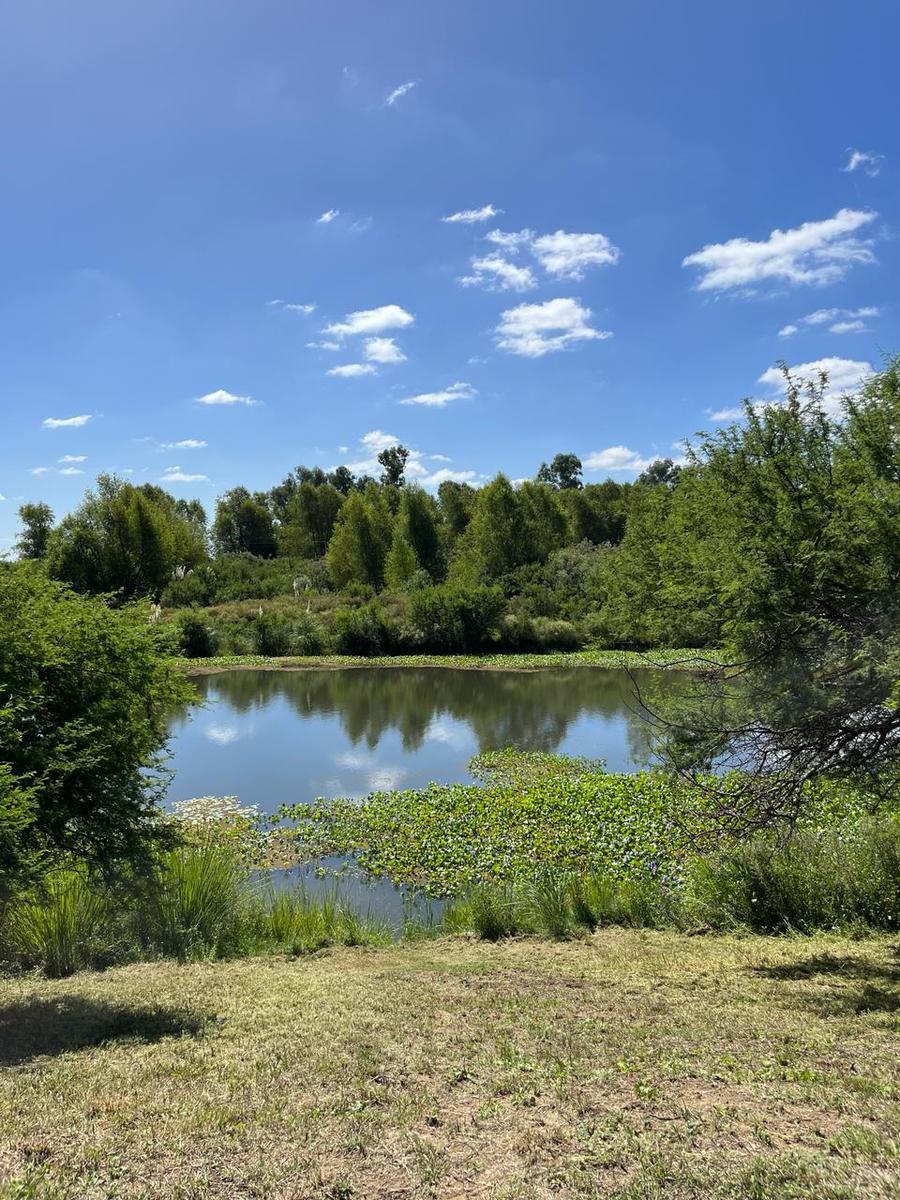 Terreno en Venta en Barrio Nautico Sagastume