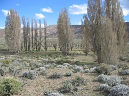 Ruta 6 0 - Río Chico (Est Cerro Mesa) - Río Negro