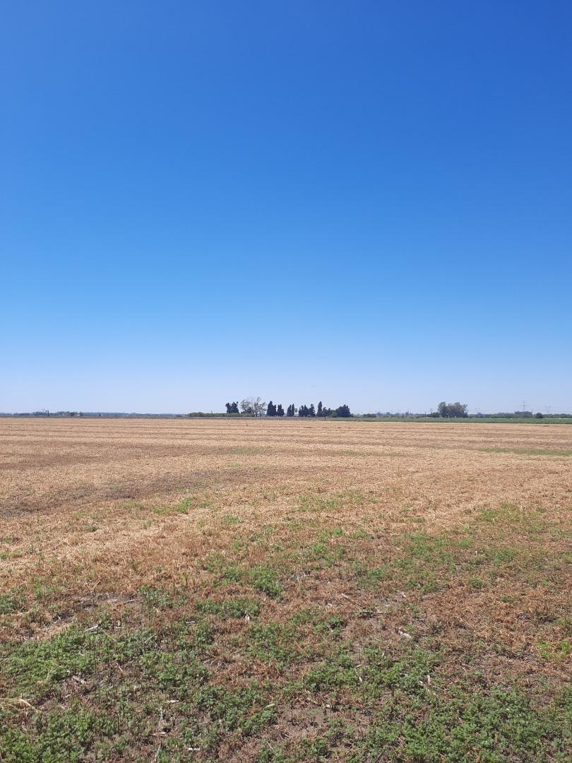 Terreno en Villa Gobernador Galvez