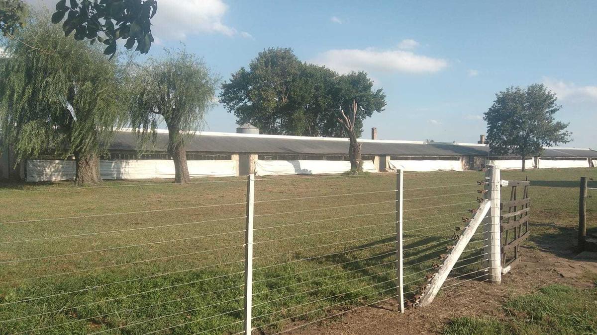 Campo en venta - 17.300Mts2 - Chacabuco