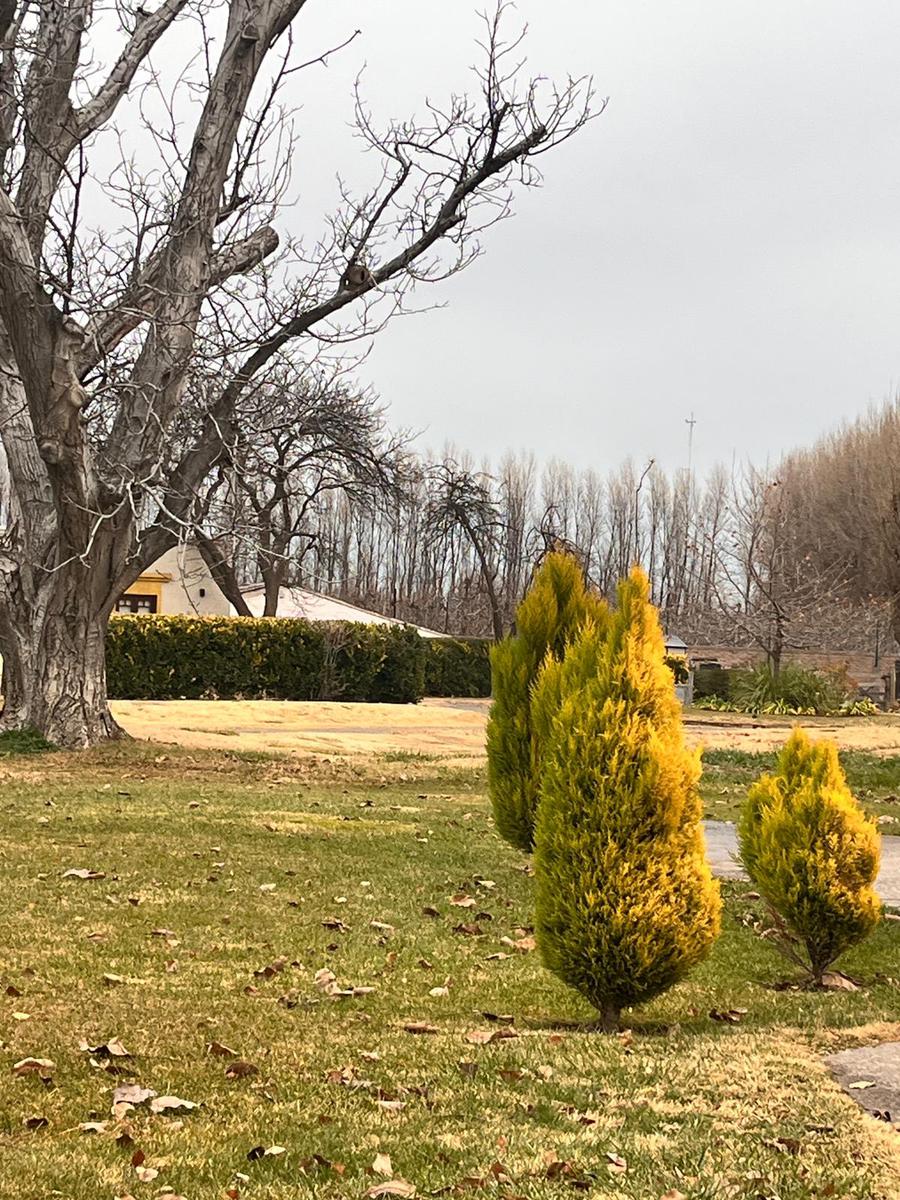 VENTA B° CERRADO FINCA DEL NOGAL