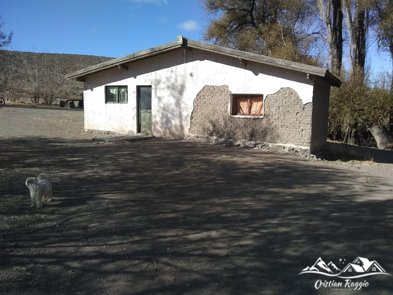 Terreno de 3000 Ha con casa   local en el pueblo, Río Chico, Río Negro (CR-119)