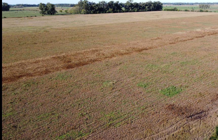 Campo En Venta  70 Hectáreas en General Las Heras A 3km de las Heras centro