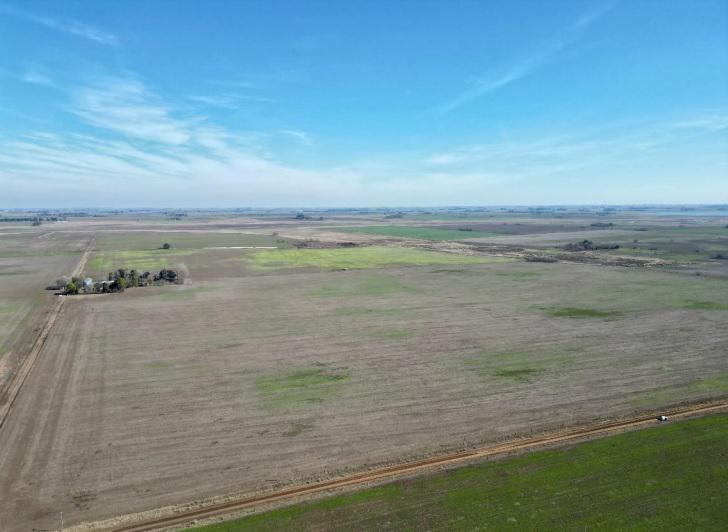 Campo en Chacabuco