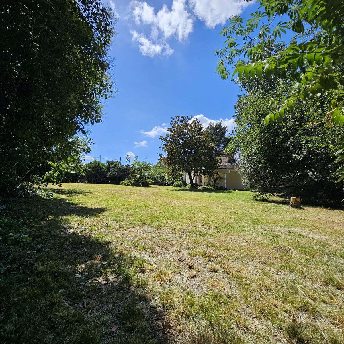 Terreno en  Luis Guillon