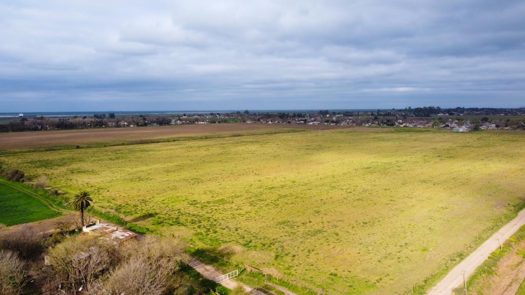 EN VENTA - CAMPO AGRÍCOLA -SAN NICOLÁS DE LOS ARROYOS