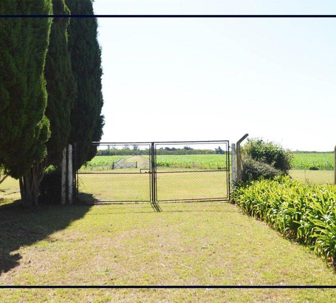 Venta Campo 177 ha