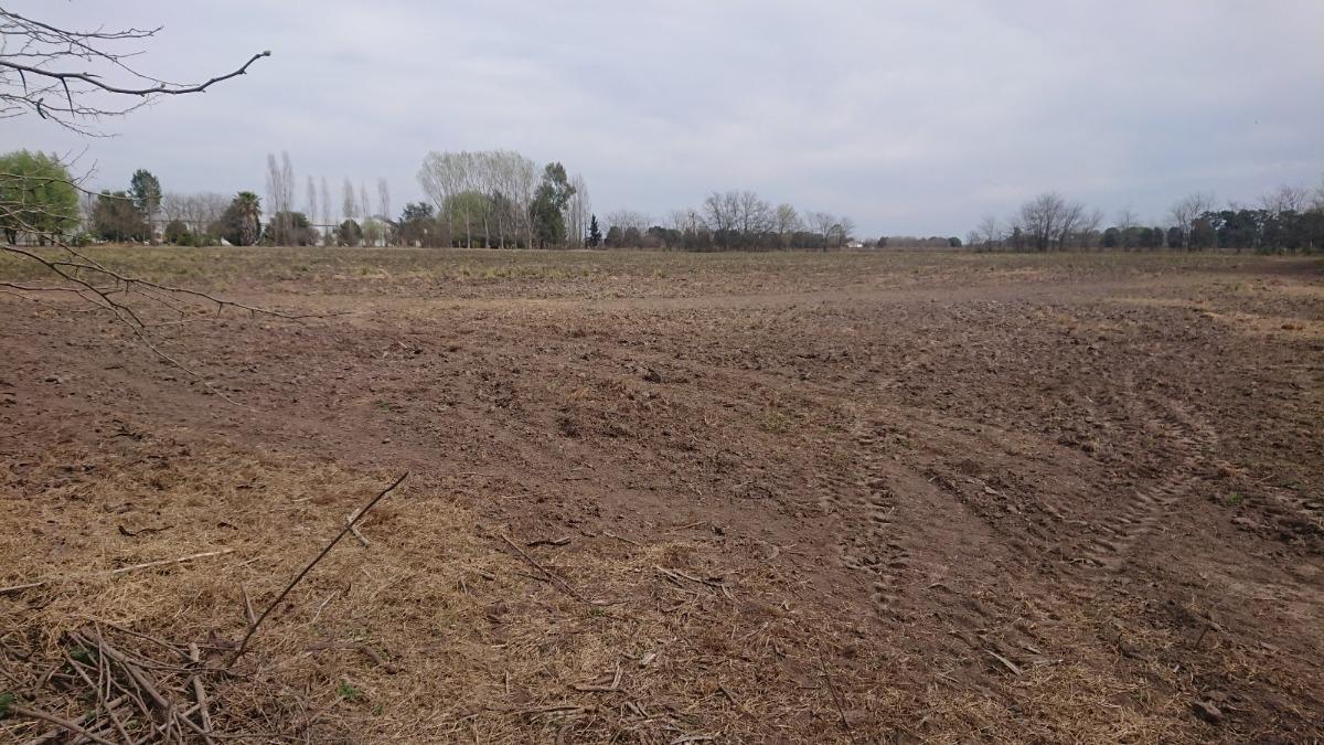 Terreno en venta - 14650Mts2 - Chivilcoy