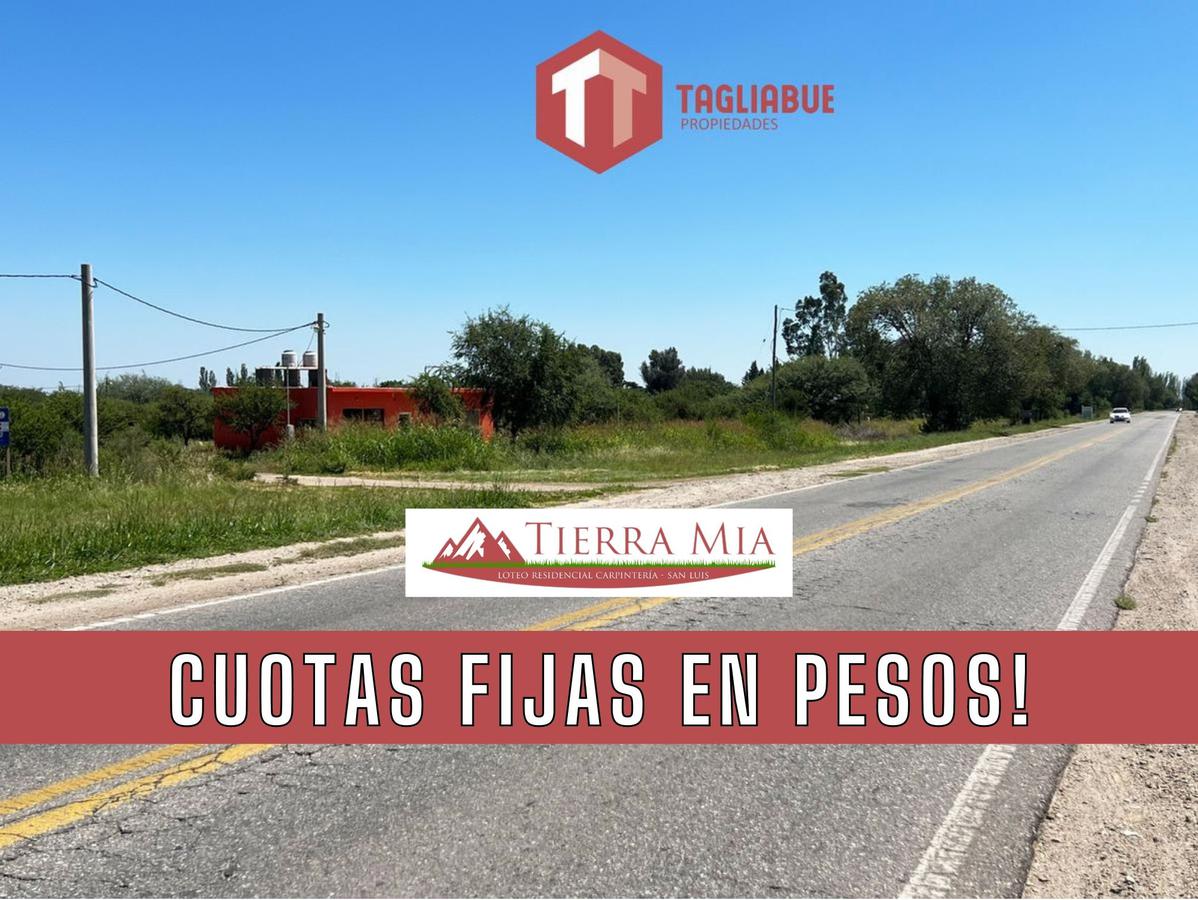 TIERRA MIA - Lote 82