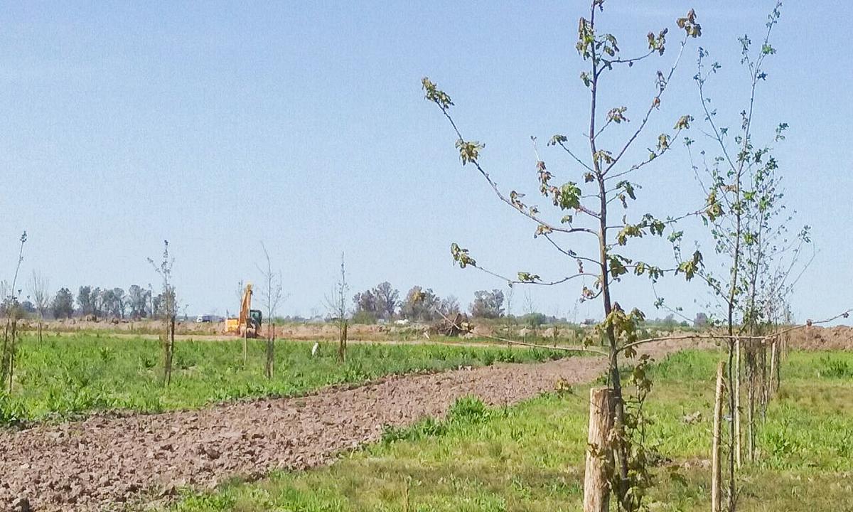 terreno en barrio abierto altos de piñero