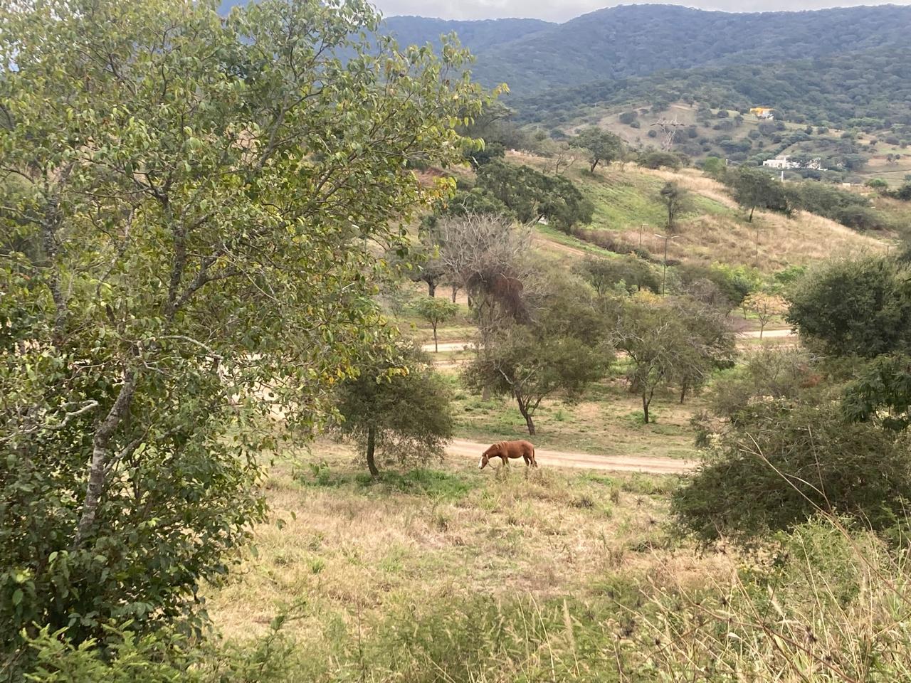 Terreno en  venta sobre Acceso principal a la ciudad de Salta