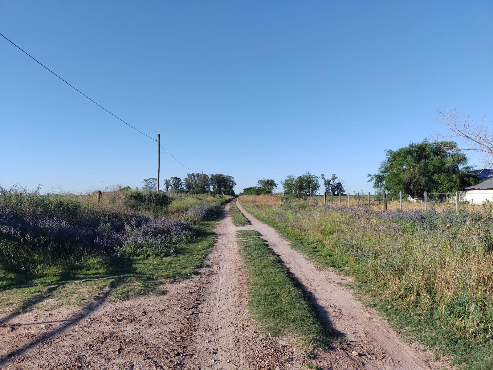 Campo en Enrique Carbó