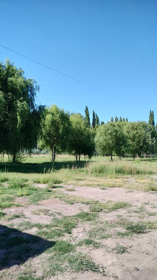 Venta lote La Quinta 2 450m2 Ruta 7 Vista Alegre Neuquen