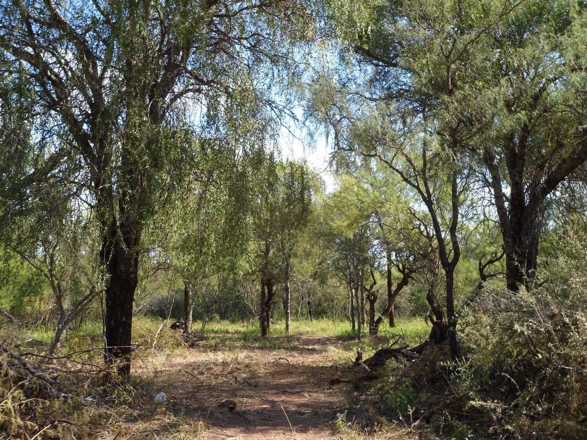 Terreno - Villa De Las Rosas