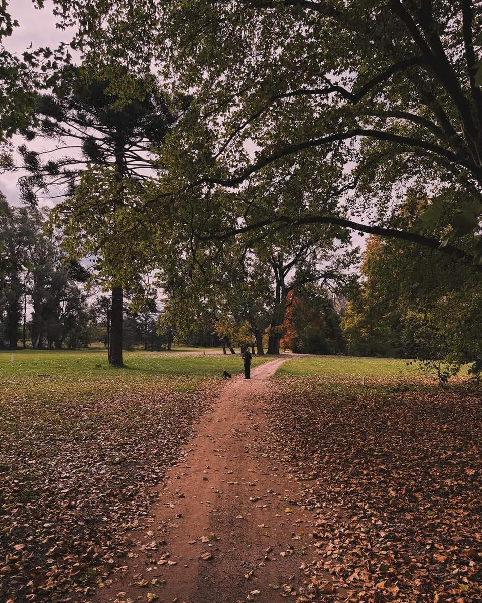 GRAN TERRENO EN PUEBLO ESTANCIA LA PAZ