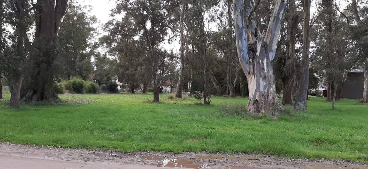 Terreno en  la armonia ruta 2