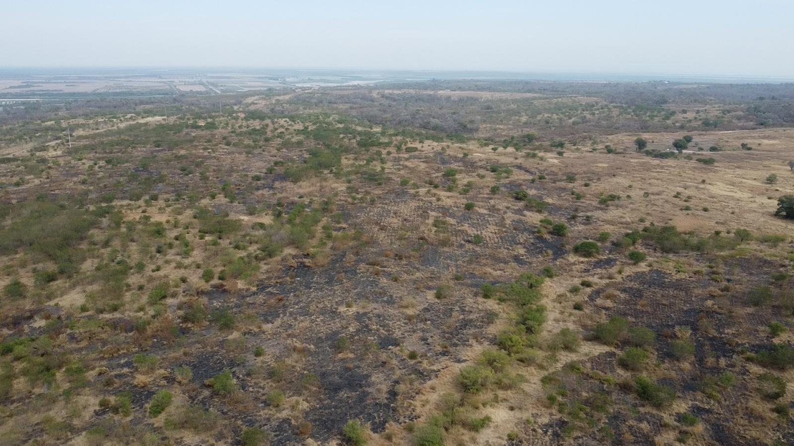 Campo en  Venta en Embarcación