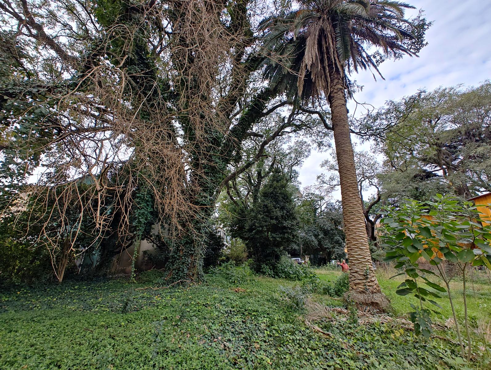 Terreno en Béccar, 859 m2, frente a Villa Ocampo