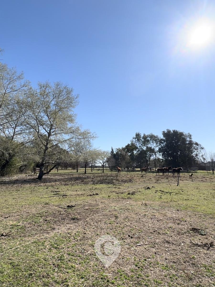 Chacra en Venta de 3 hectáreas. Casa con pileta. Country Las Vizcachas, Exaltación de la Cruz