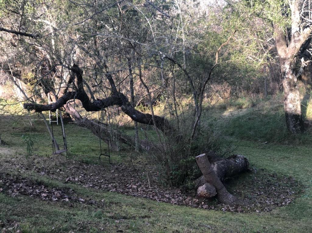 2x1 Chacras Construidas con Bosque Quebrado Unico.