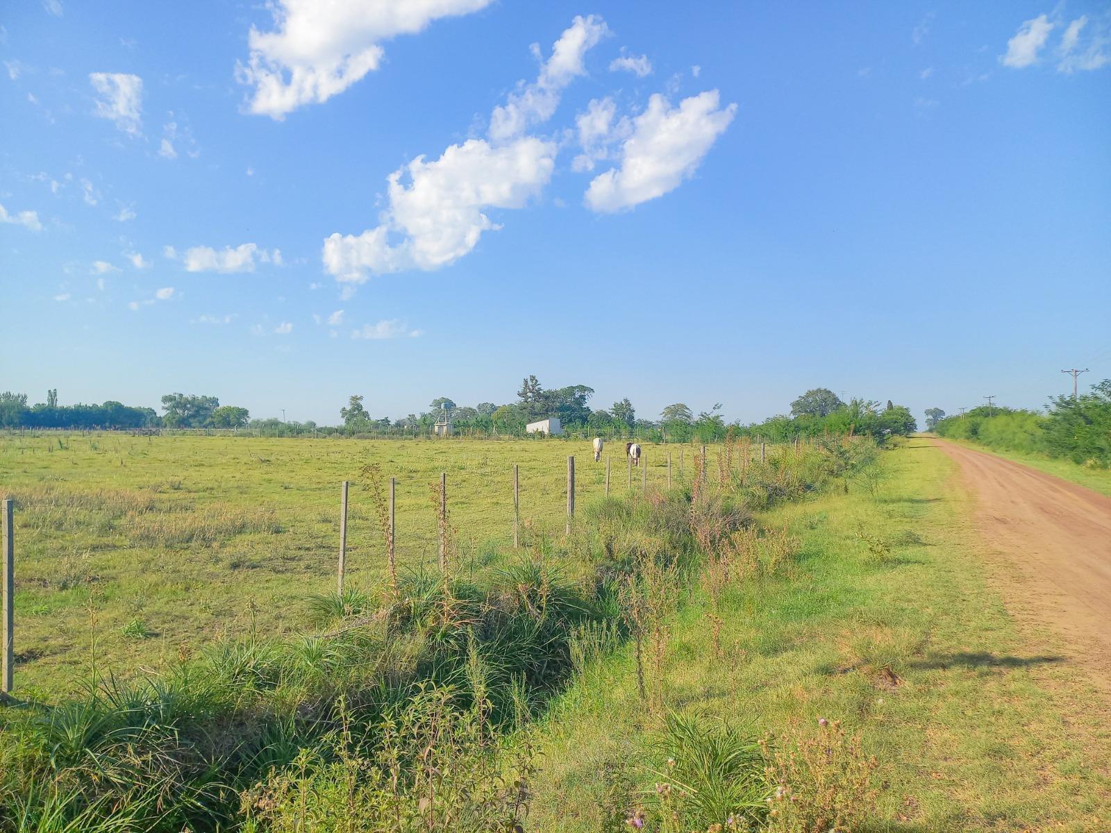 Terreno en venta - 629,25Mts2 - Carmen de Areco