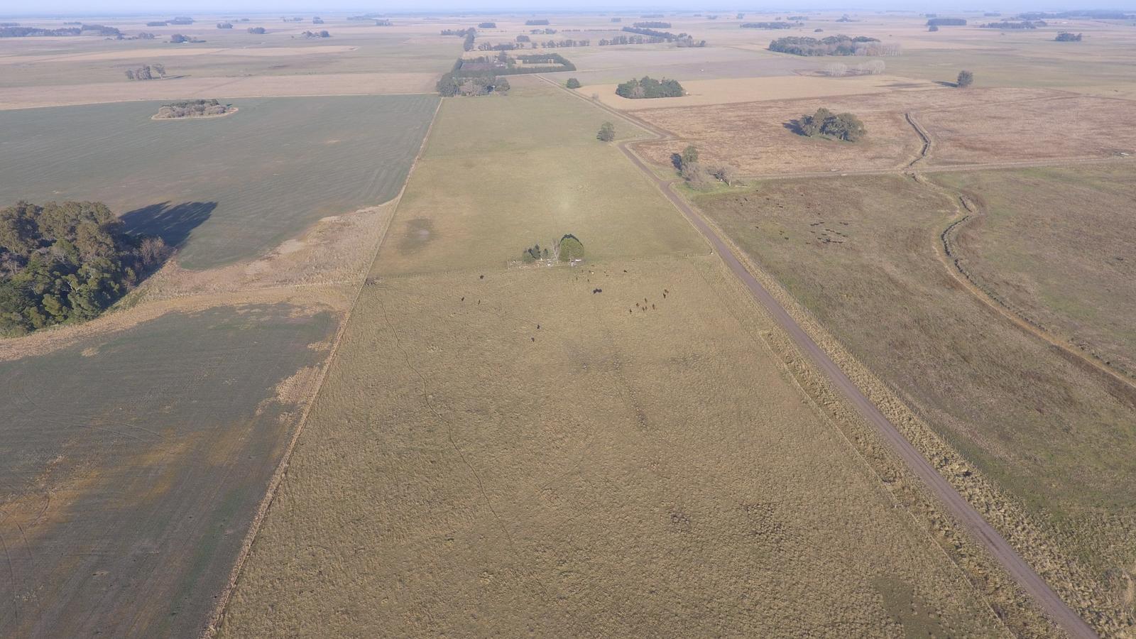 Campo de 8ha en Mar Chiquita