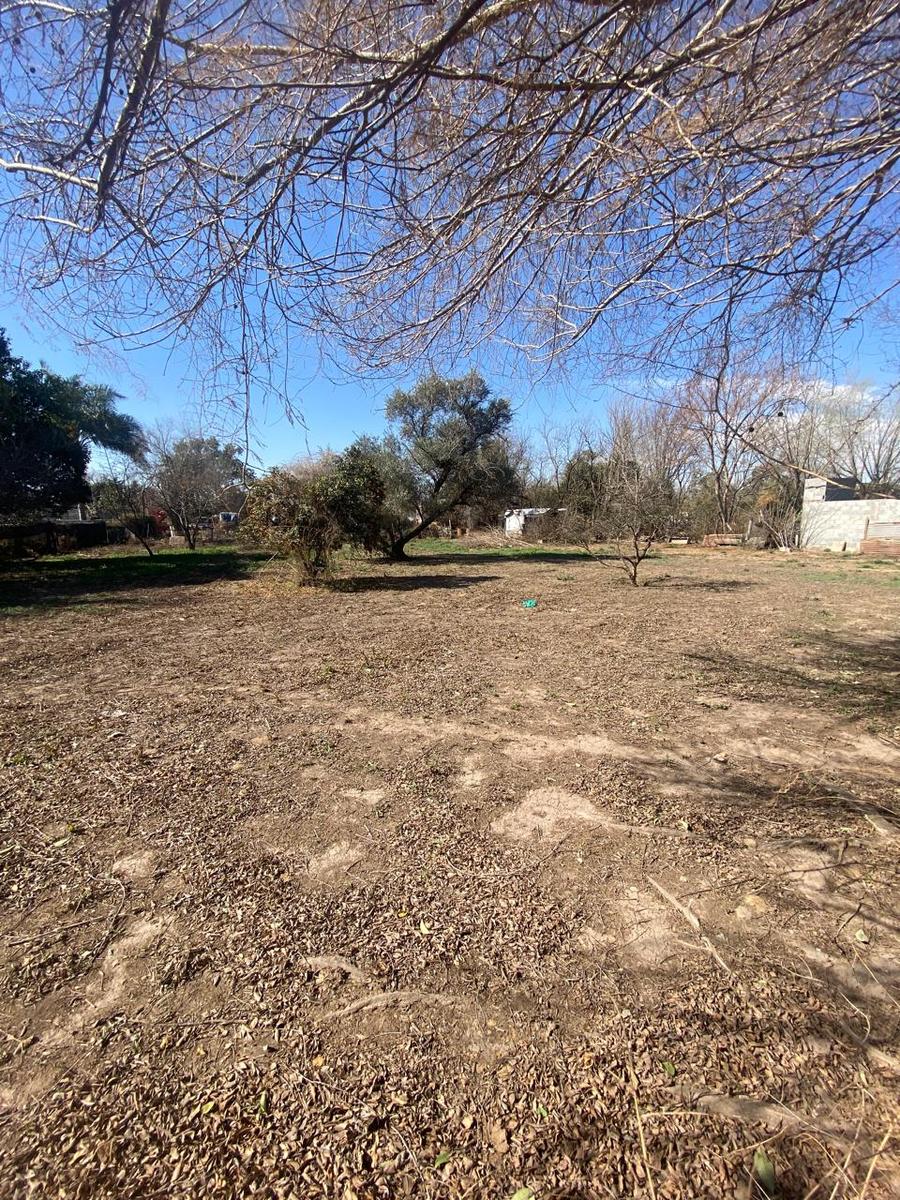 Terreno en venta de 1800 mts2 en Leones - Córdoba