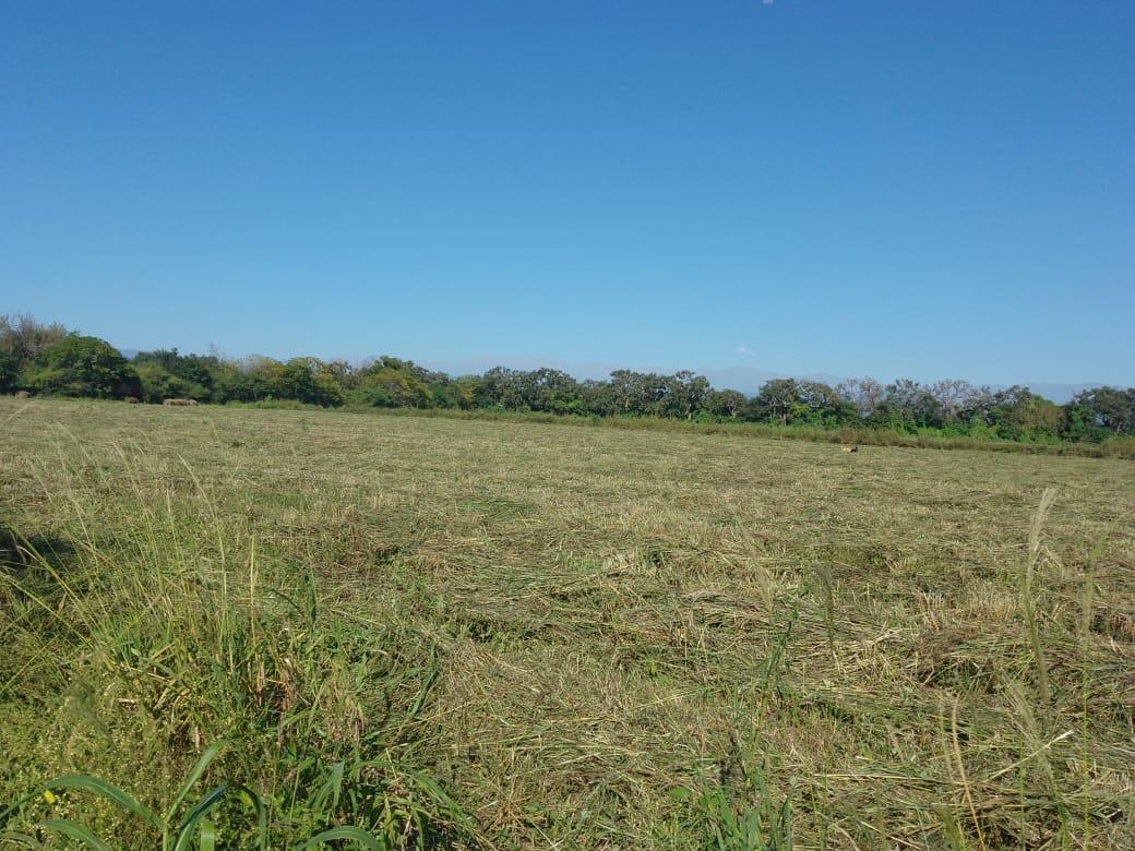 Finca en Venta - Zona Benjamin Paz