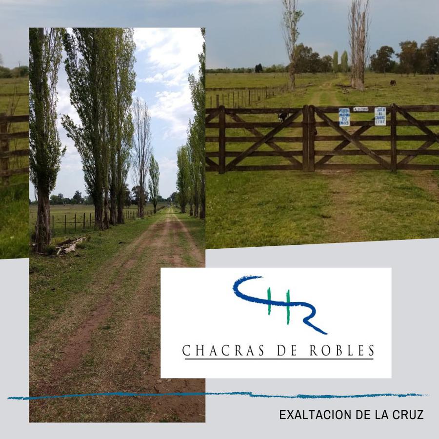 Gran Chacra en venta en Chacras de Robles, Exaltación de la Cruz