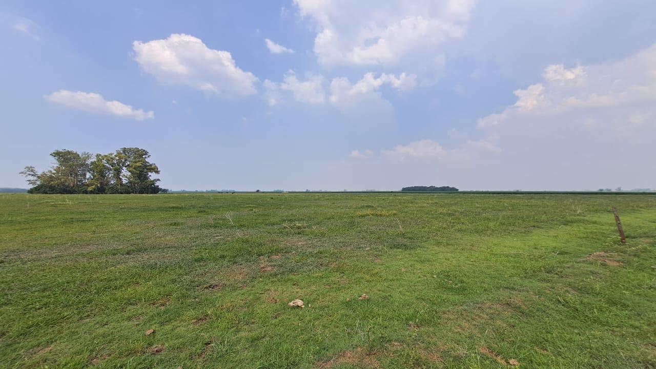 Venta. Campo 13 has. Agrícola Ganadero. Torres. Luján