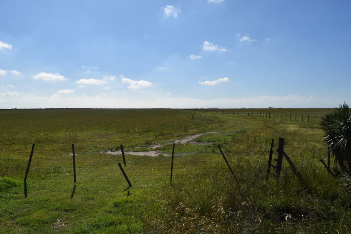 Campo en Rufino