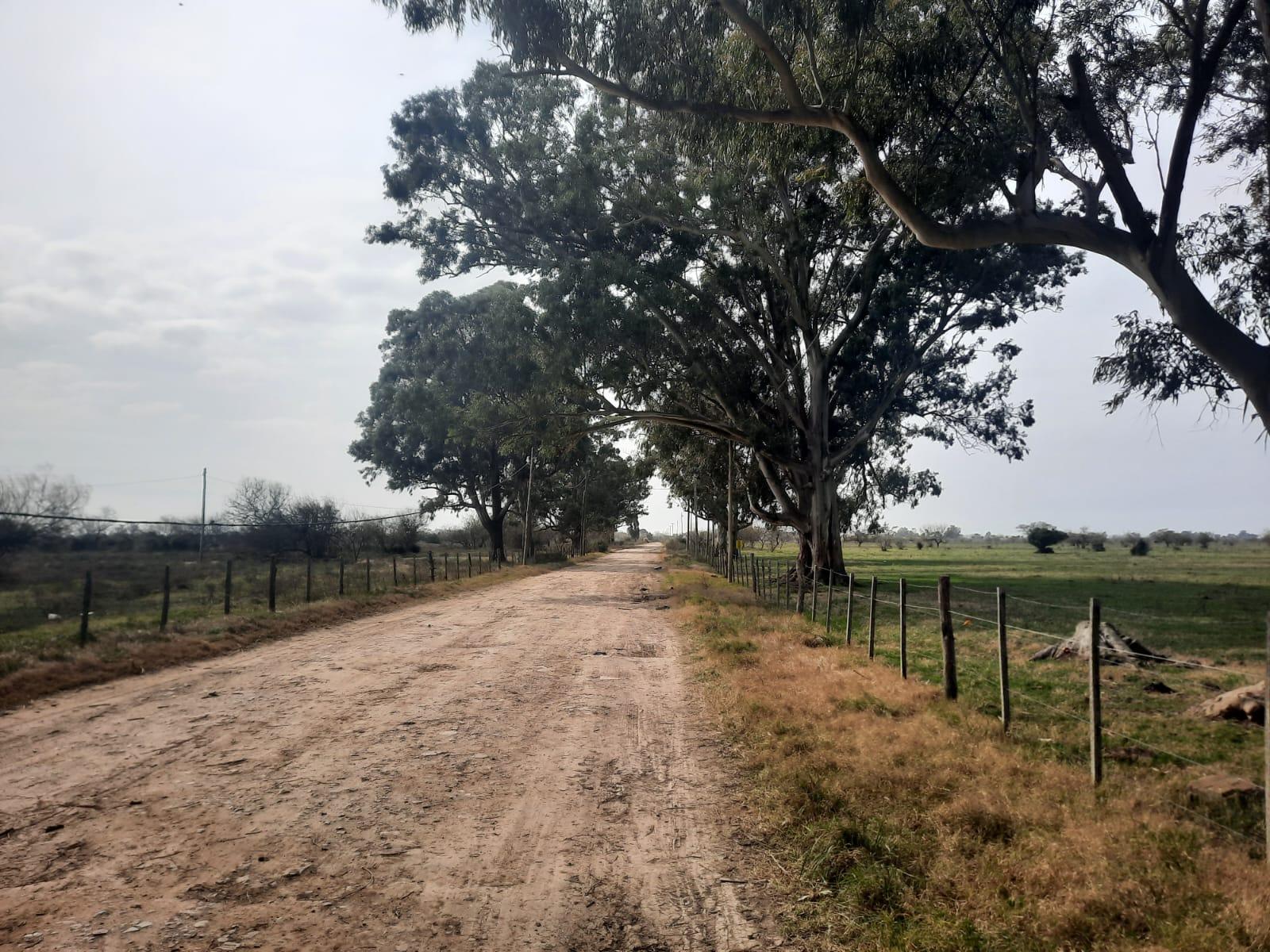 Terreno en Ensenada