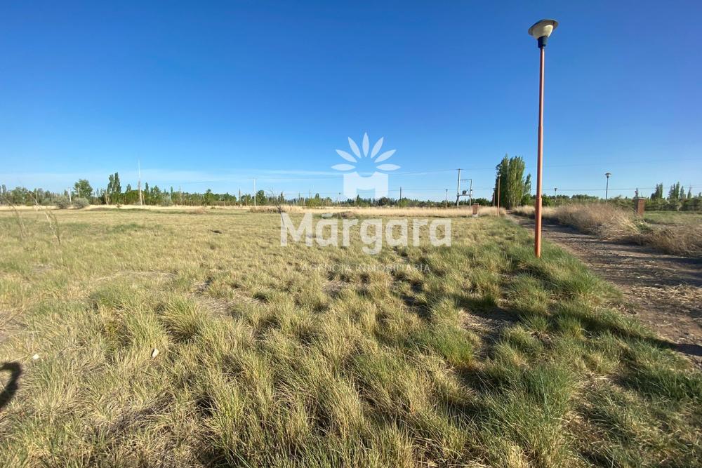 Terreno en  Perales del Solar