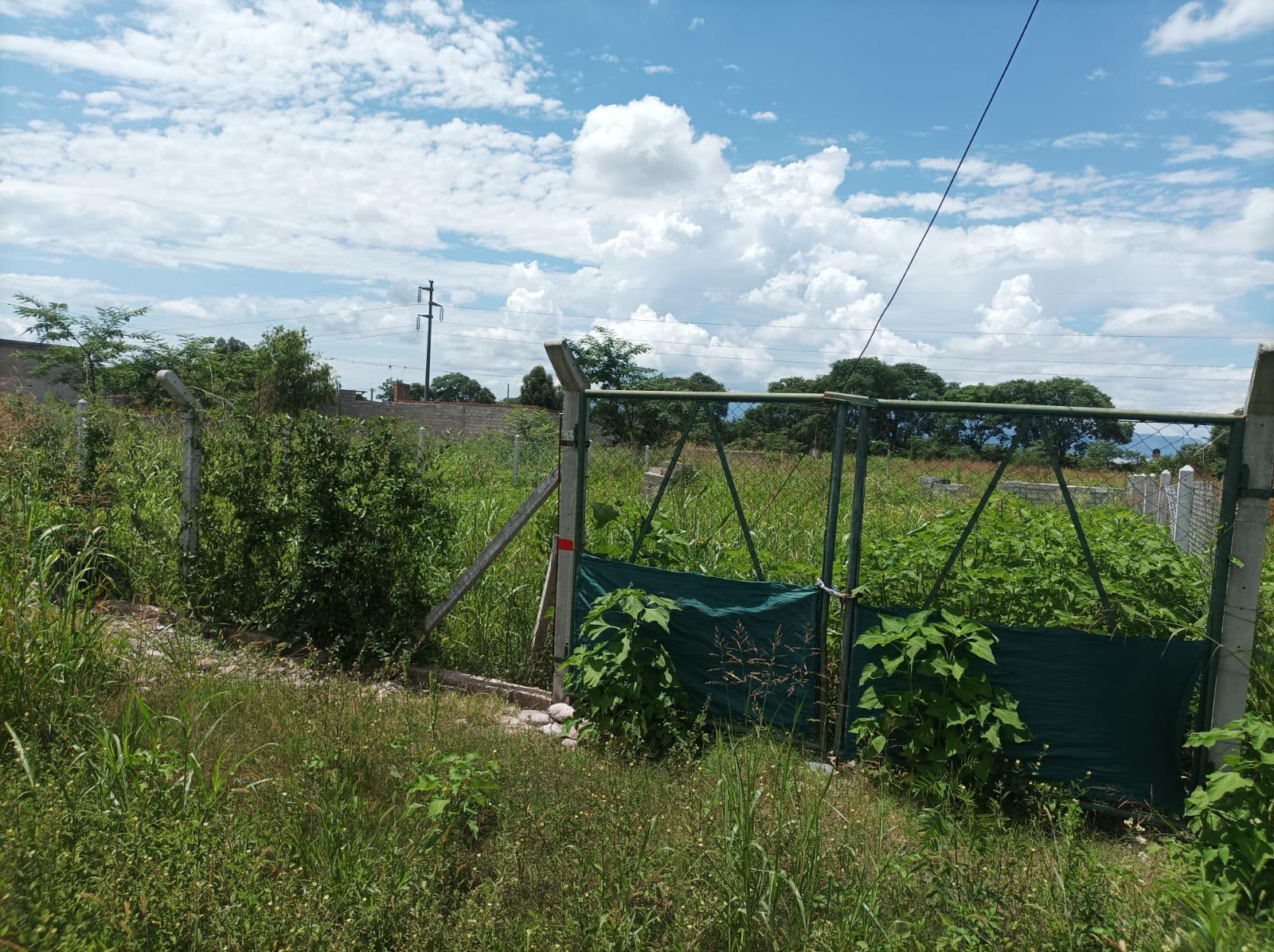 Venta- Terreno- Los Alisos