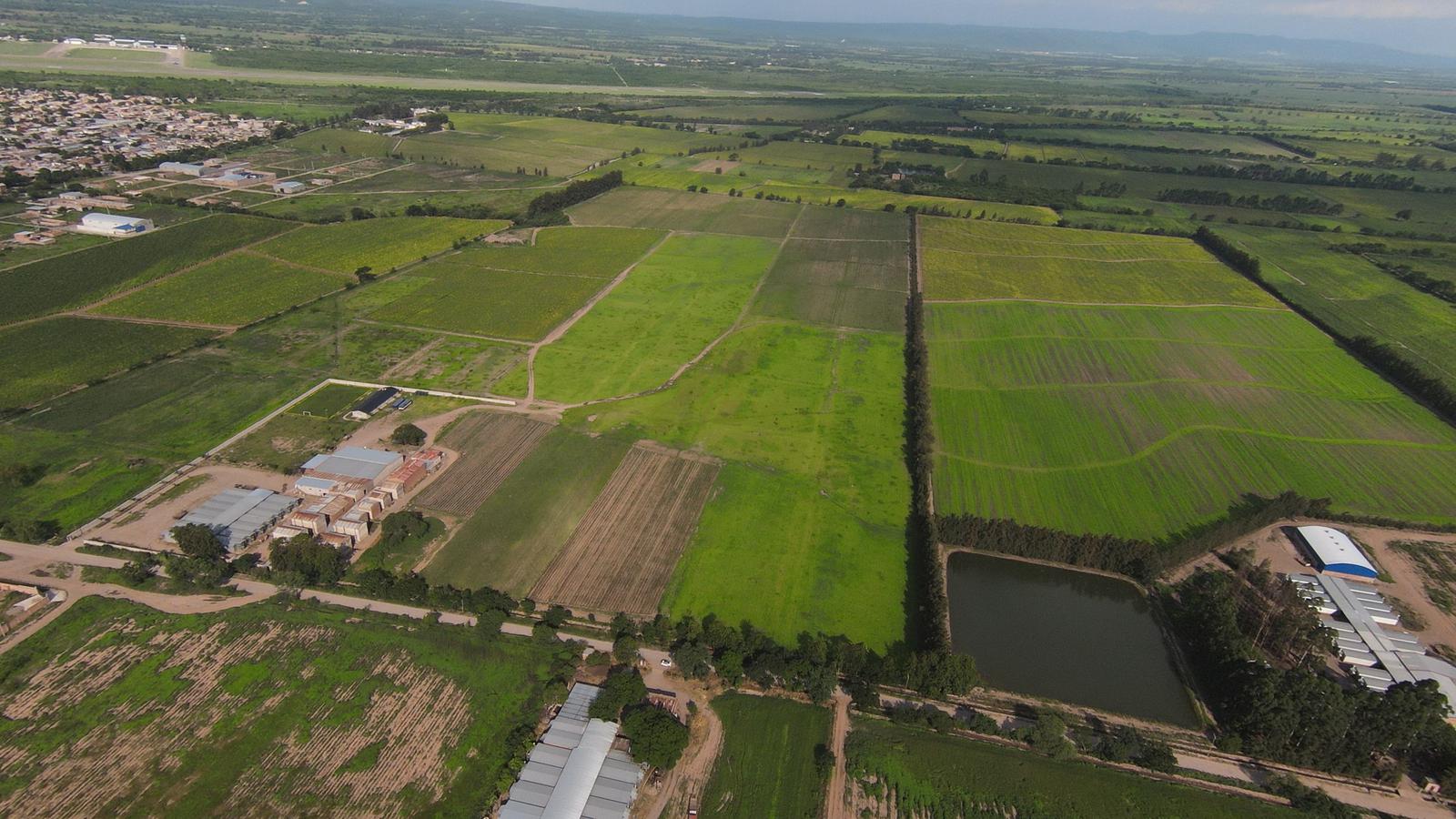 Terreno en Perico