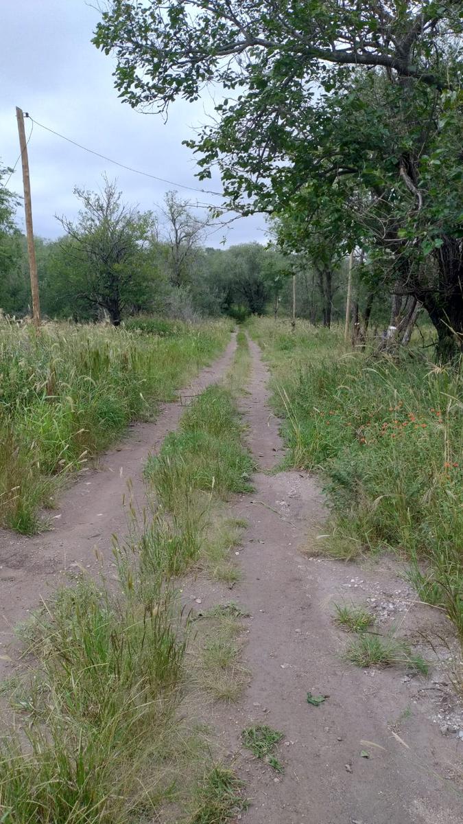 REMATO TERRENO EN MOLINARI, COSQUIN