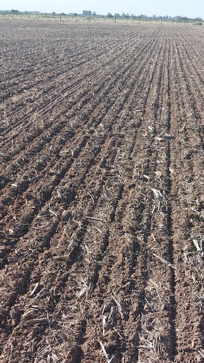 Campo en  General Viamonte - Cordoba