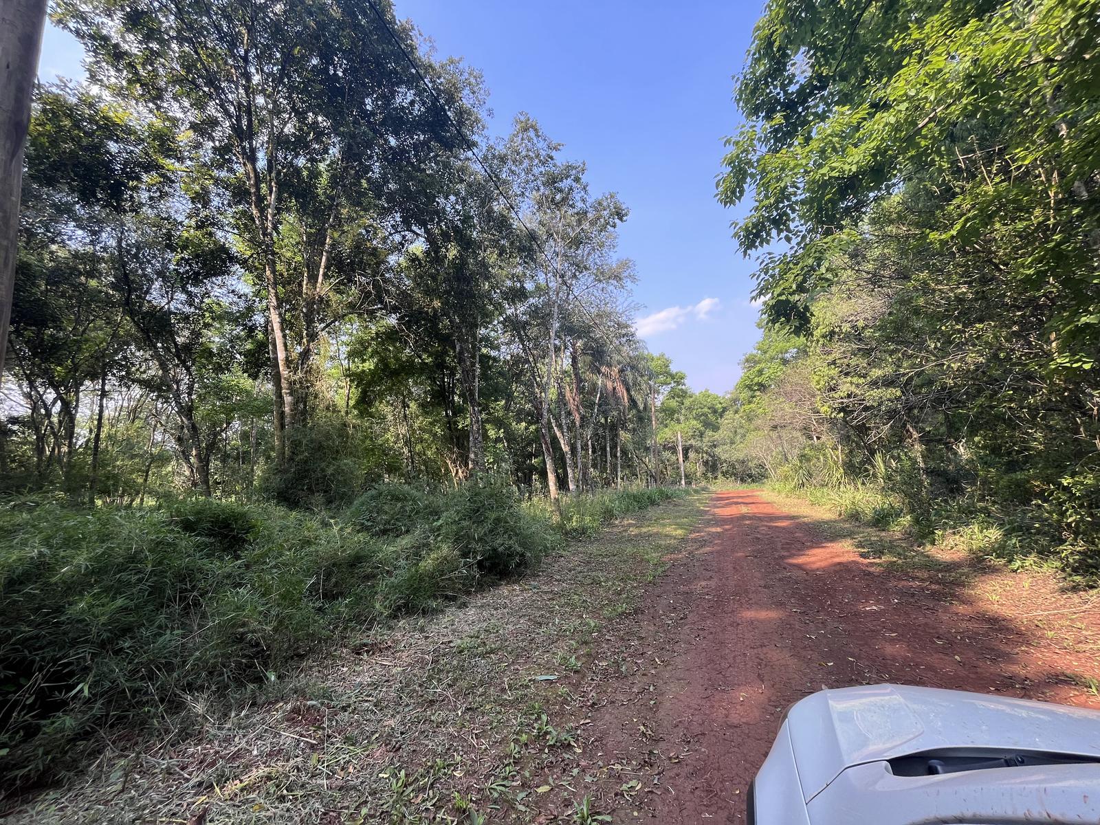 Terreno en  eldorado misiones