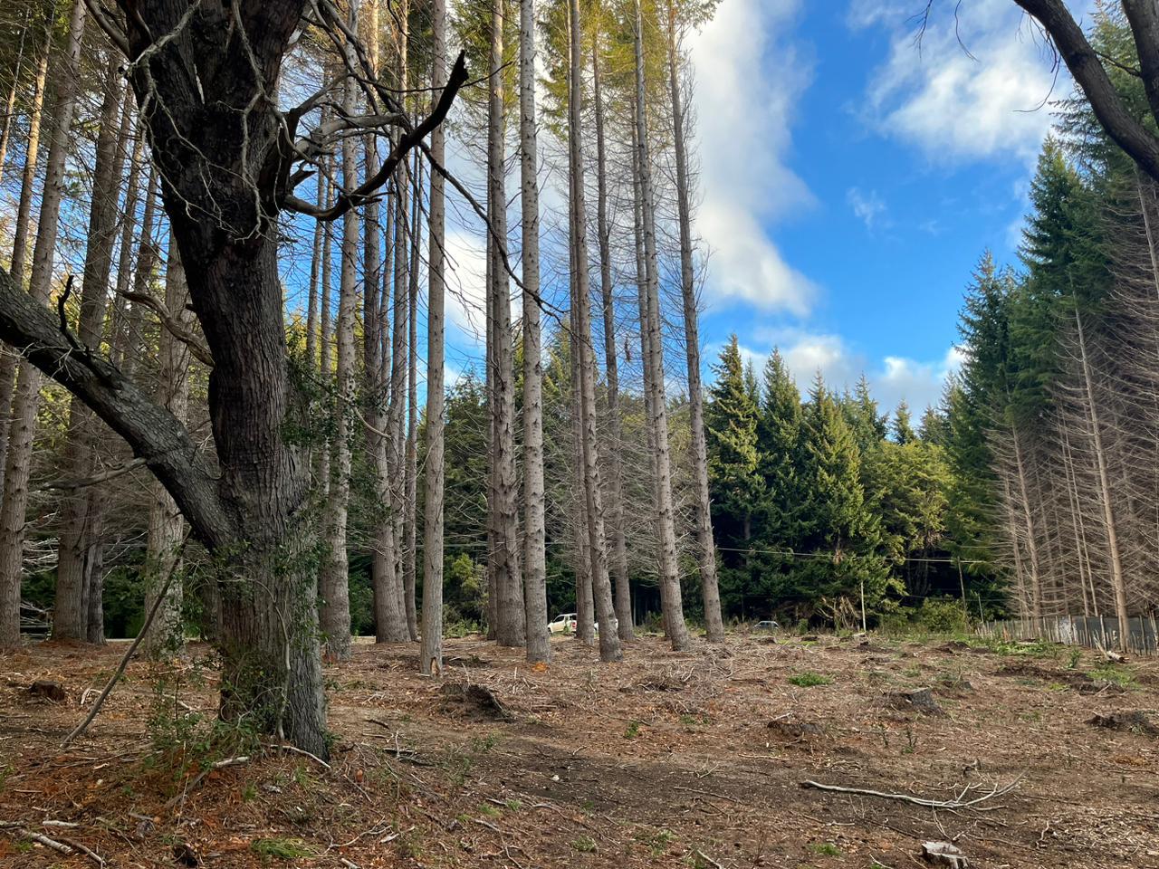 Terreno - Bariloche